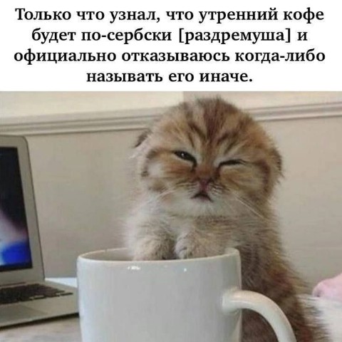 Looky_177241737900136 в LOOKY. . С добрым утром ☀️