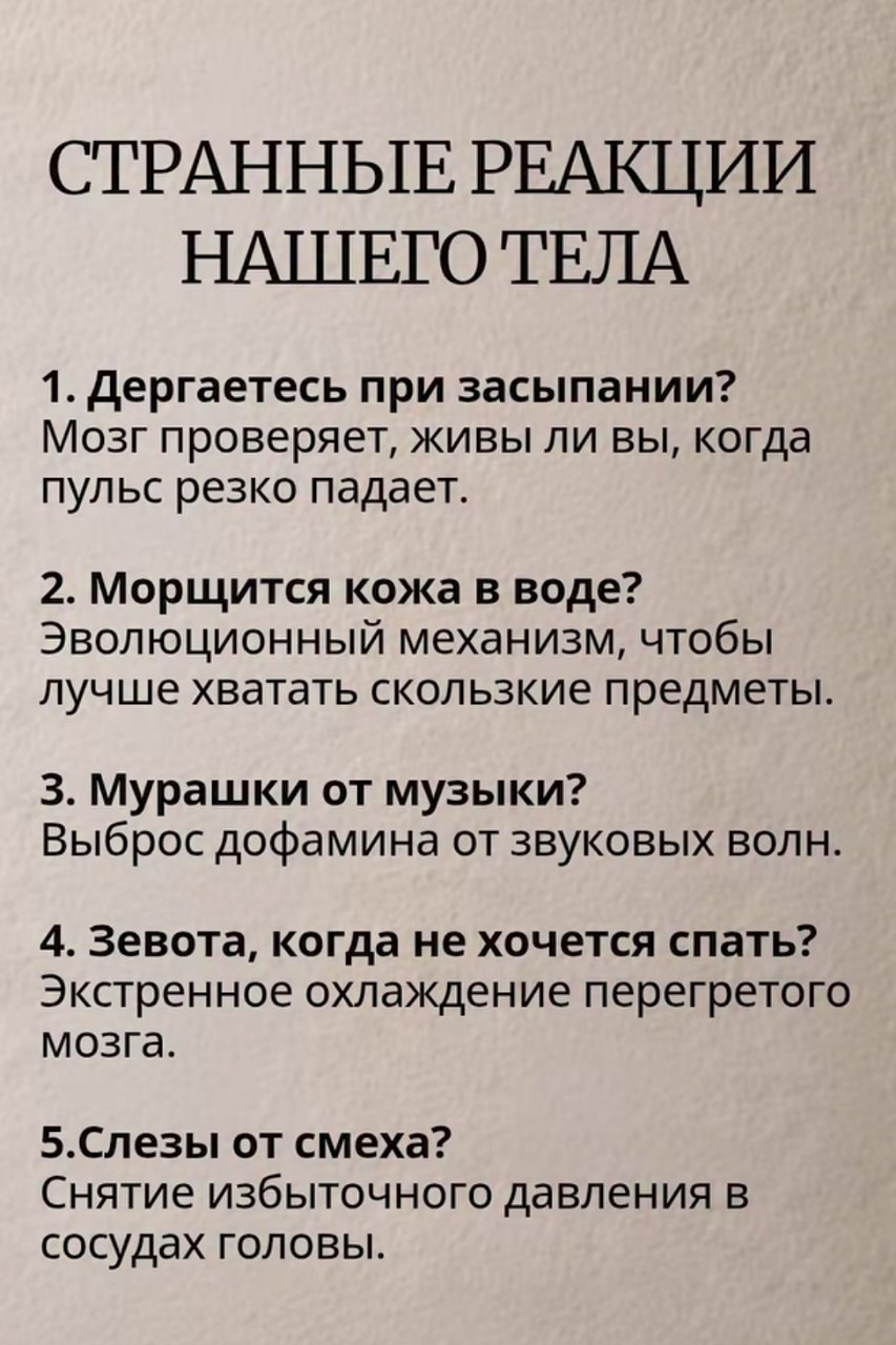 kowka191 в LOOKY — публикация