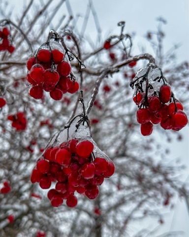 sidorova_kosa в LOOKY. #winter. #winter