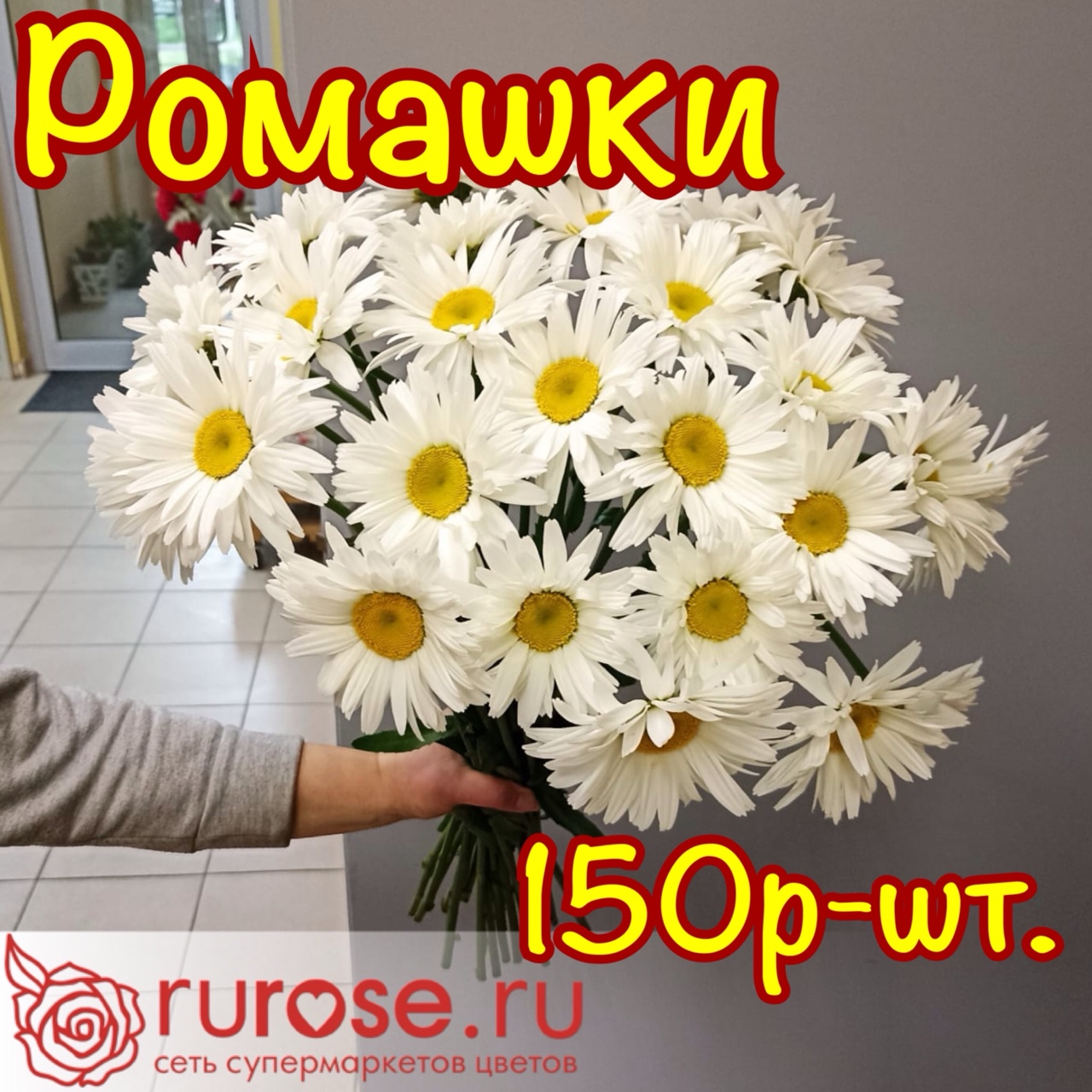 Rurose2025. в LOOKY — 🤗💕Друзья, ура! Сезон ромашек! Ждем Вас к нам🌺