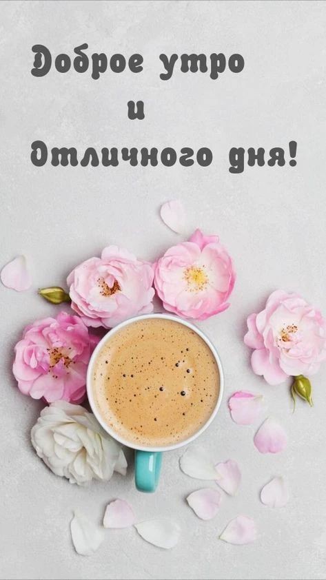  в LOOKY — публикация