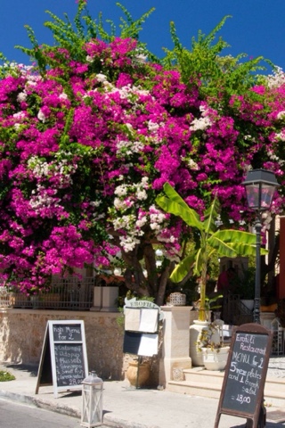TOCRETE в LOOKY. #Ретимно,#Крит,#Греция,#Rethimno,#Rethymno,#Crete,#Greece. Улочки, утопающие в ...