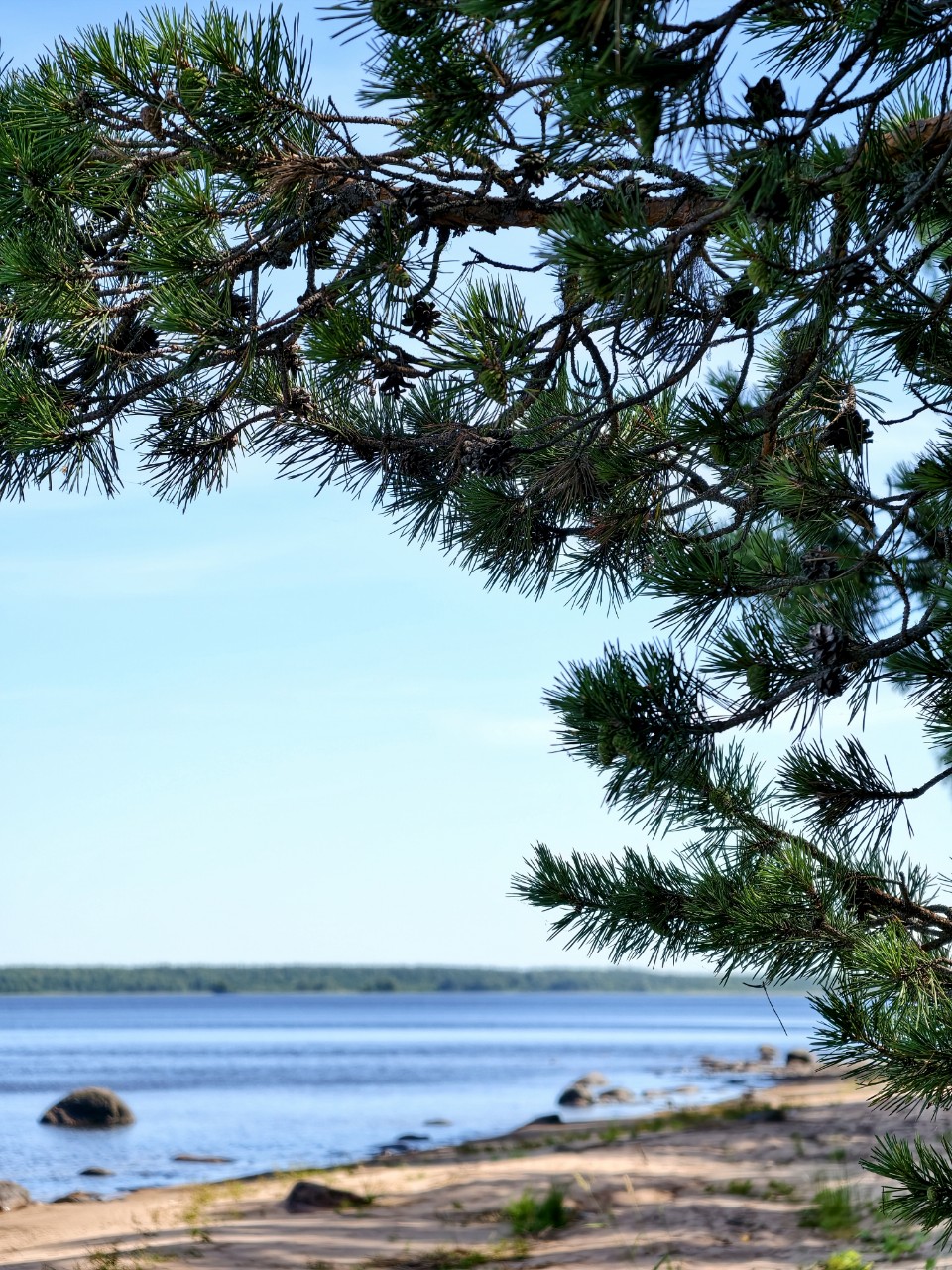 Карелия🌲Karjala
#осеньвкарелии #осень
#карелия #karelia #karjala #живувкарелии #природа #природакарелии
#looky #looky_official #LOOKY_контент #looky_you #you #looky_топ