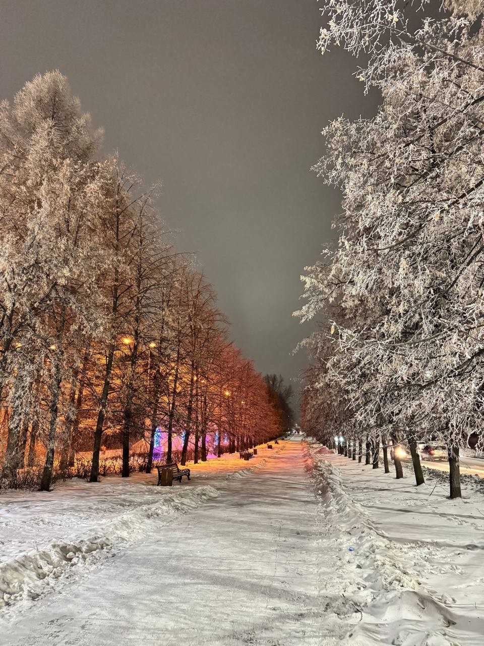 ludmila_medvedeva_9 в LOOKY — публикация