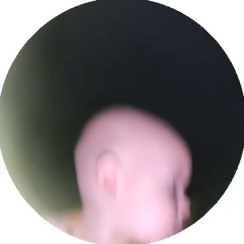 rev_si в LOOKY. . Know