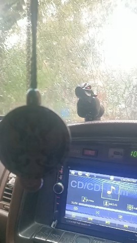 Romka in LOOKY. . Заметно нет ?