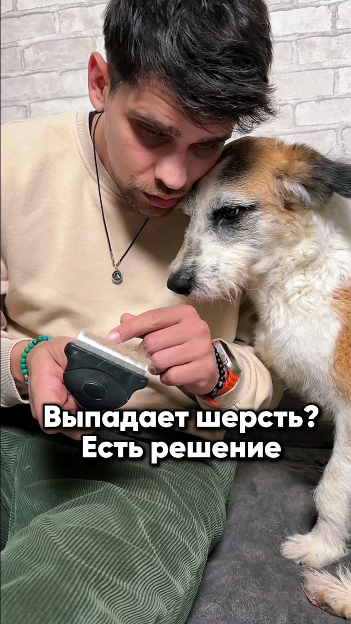 Harly_Miami в LOOKY. . У твоего Питомца 🐶В...