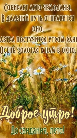 Looky_174671900592932 в LOOKY. . лето#осень#🍃🍂