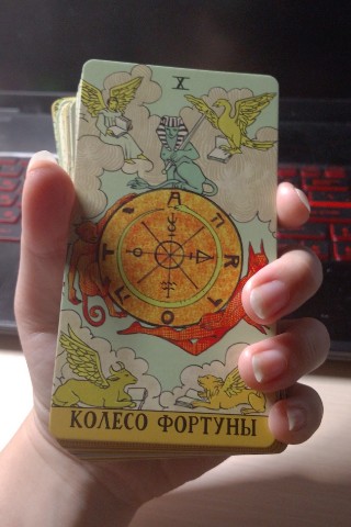 Карина в LOOKY. . Я начинающий таролог...