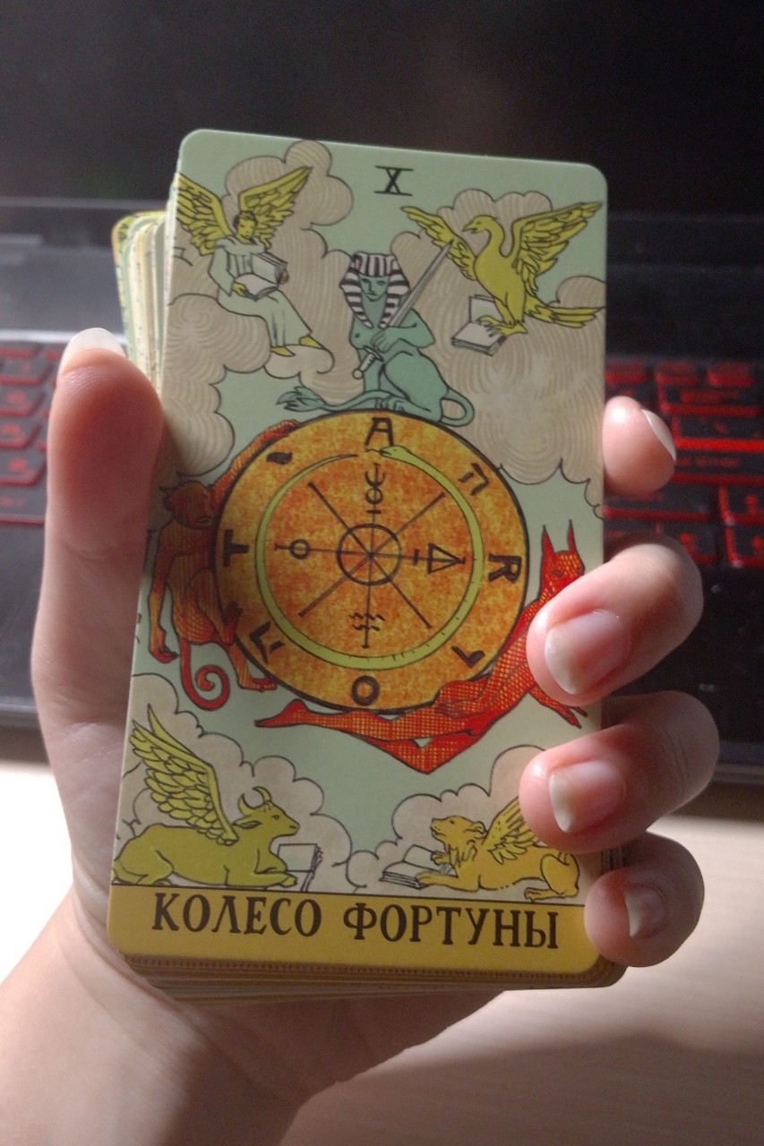 Карина in LOOKY. . Я начинающий таролог...