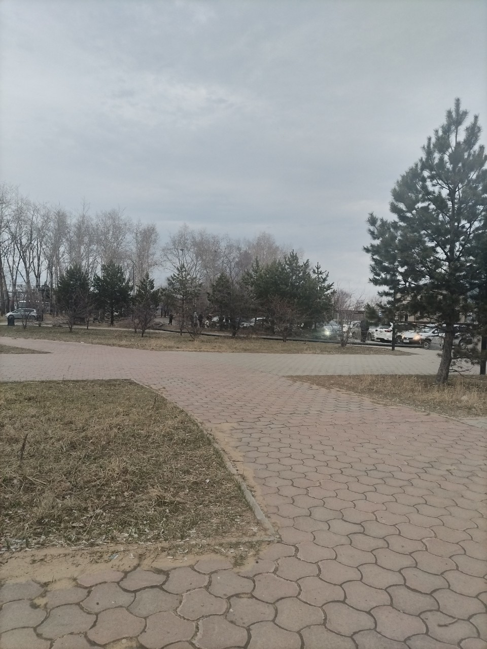 Bel_Monarh9 в LOOKY — 01.05.26 время 06:06 мы поехали на дачу 😄☺️