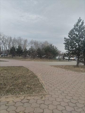 Bel_Monarh9 в LOOKY. . 01.05.26 время 06:06...