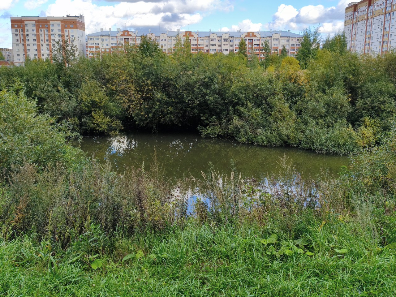  в LOOKY — На великах