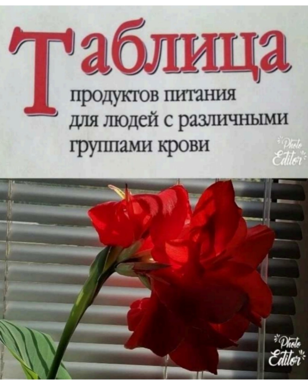 Любопытно...
Таблица продуктов питания для людей с различными группами крови