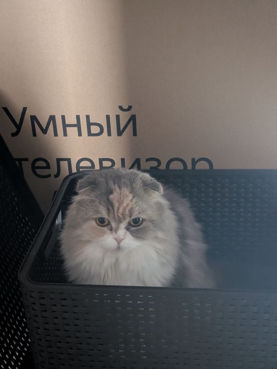 Анфиса - Умный телевизор)