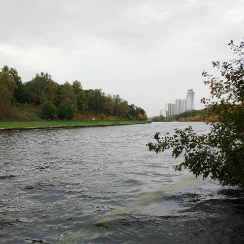 Tafofil в LOOKY. #деньтуризма. #деньтуризма поделюс...