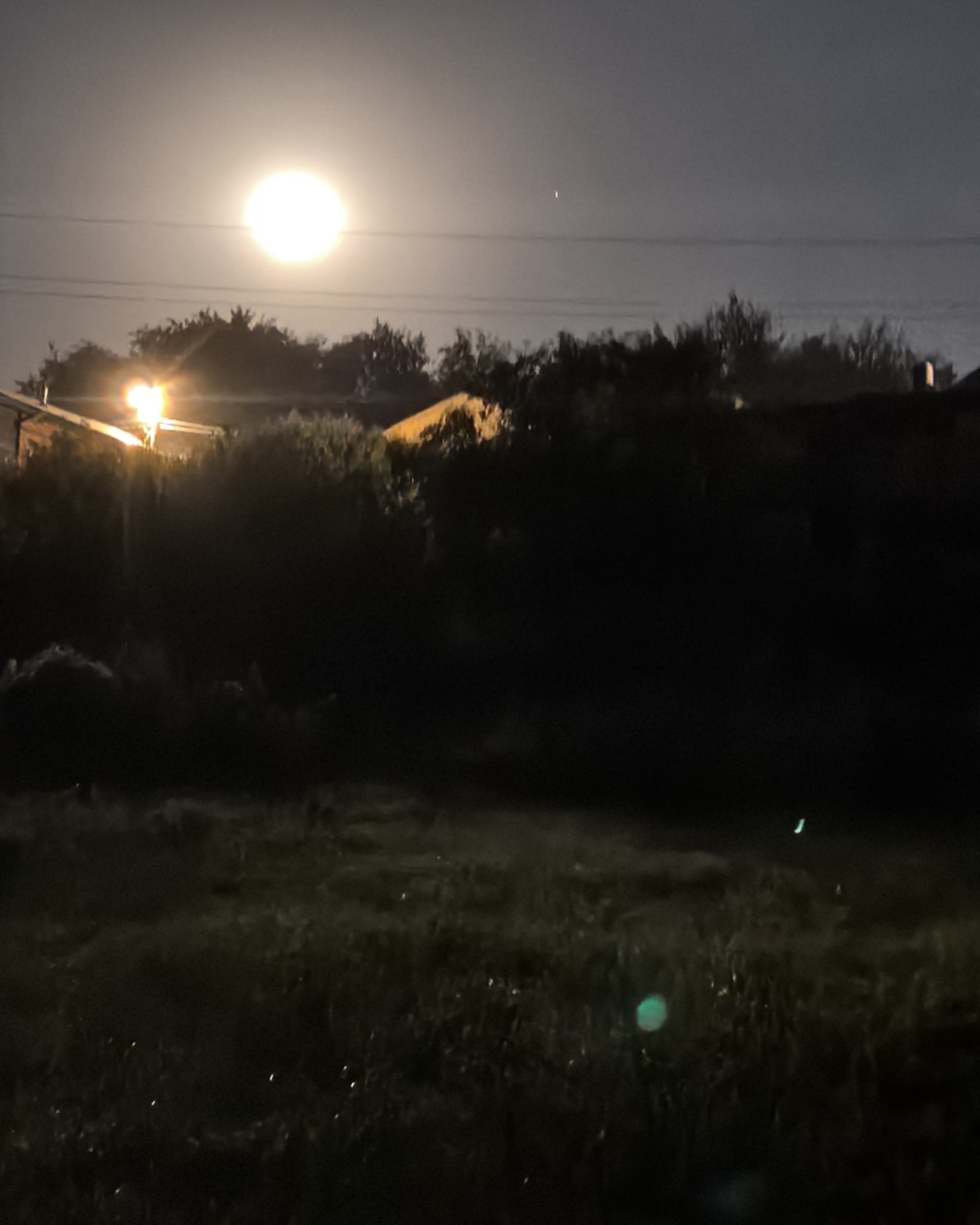 Поля in LOOKY. . Луна🌕