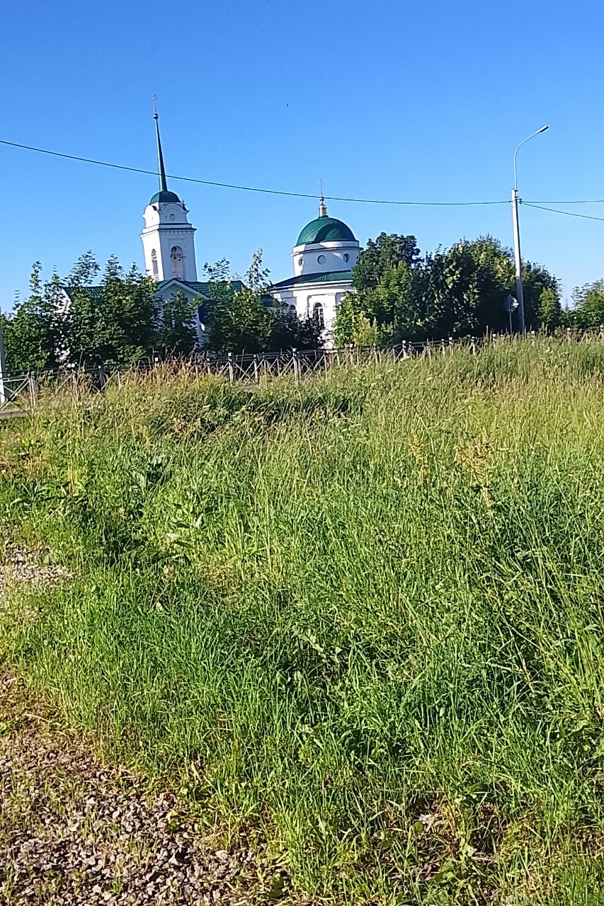 Коля Колесниченко в LOOKY — фото 1