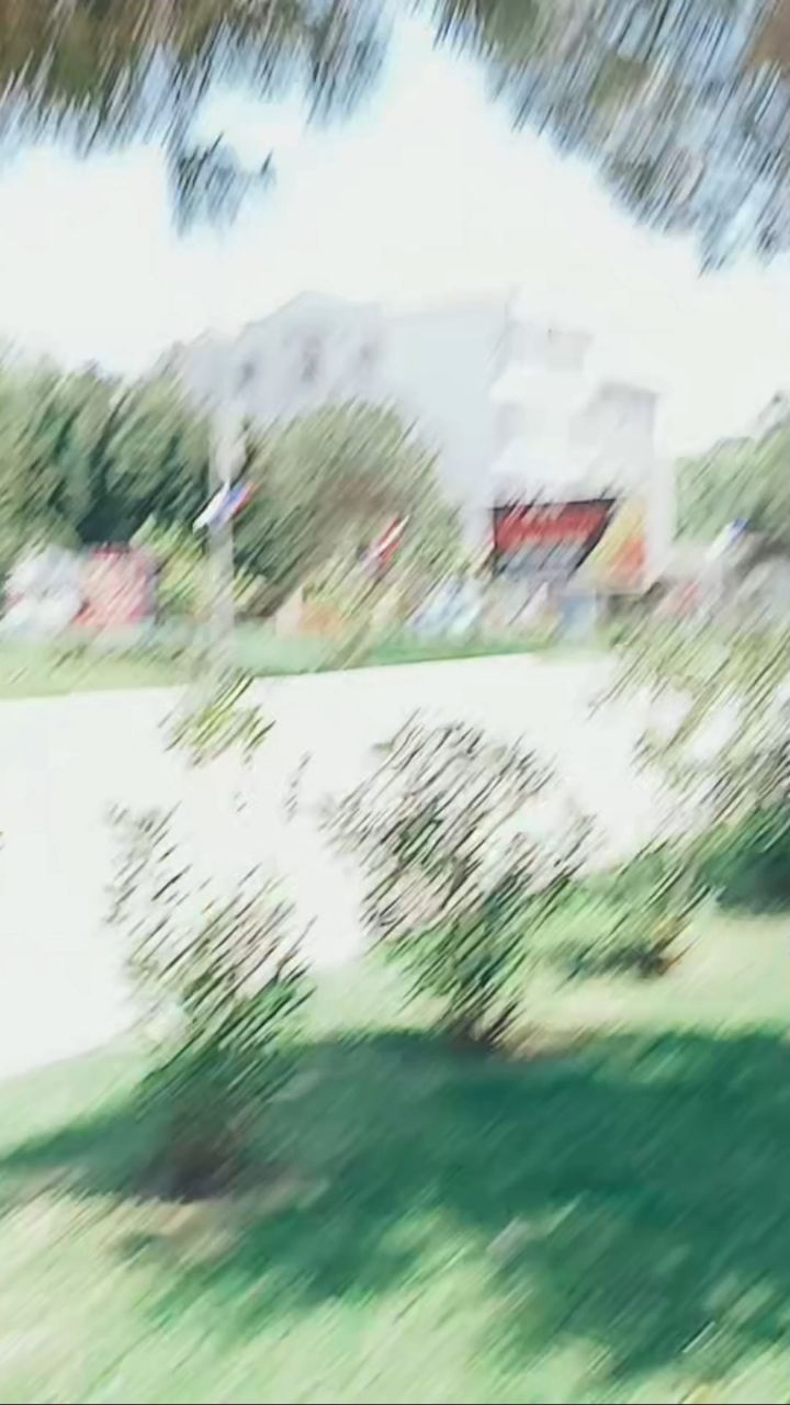 live в LOOKY. . Домены .рф набирают ...