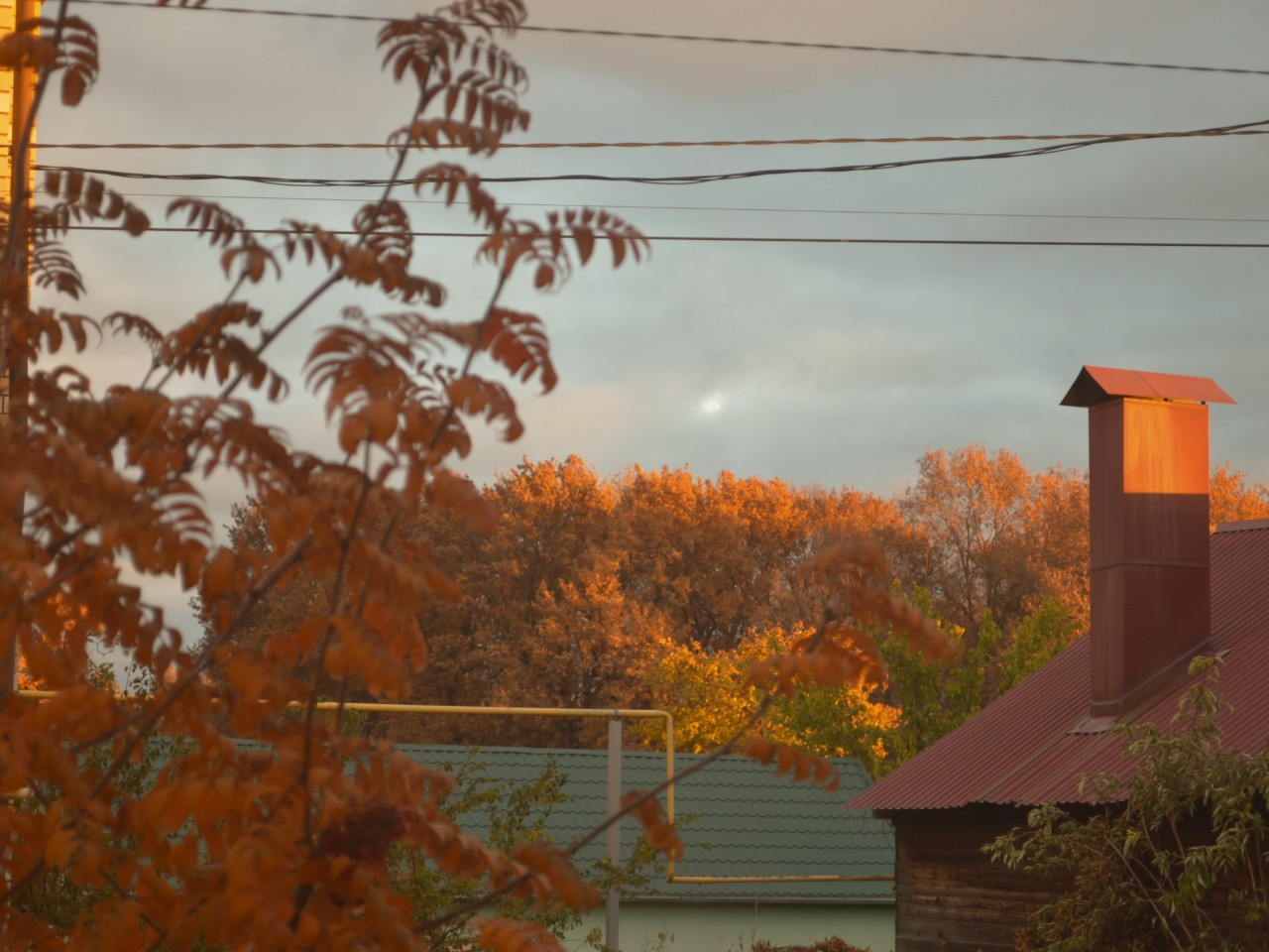 Потрясающий вид из окна, видно лес 🍂
Сейчас душу греют фотографии осени, за окном уже почти зима  (снег успел растаять)