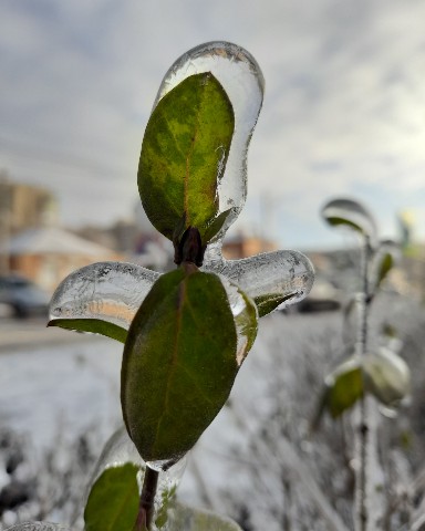 Looky_1699078669728 в LOOKY. . Во льду!!!❄💦🤗