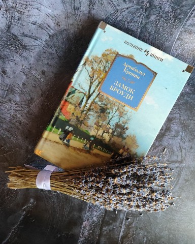 Looky_1701436106104 в LOOKY. #книга. ​​#книга_дня
«Замок ...