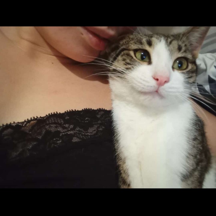 Мой кот Найс 🥰🩷