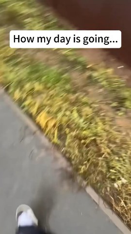  в LOOKY — публикация