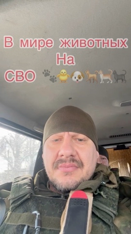 Looky_1706996472698 в LOOKY. #россия,#русь,#славяне,#русы,#русичи,#сво,#война,#животные,#собаки,#кошки,#армия,#вдв,#спн,#гру,#пехота,#народ. В Мире Животных. Так...
