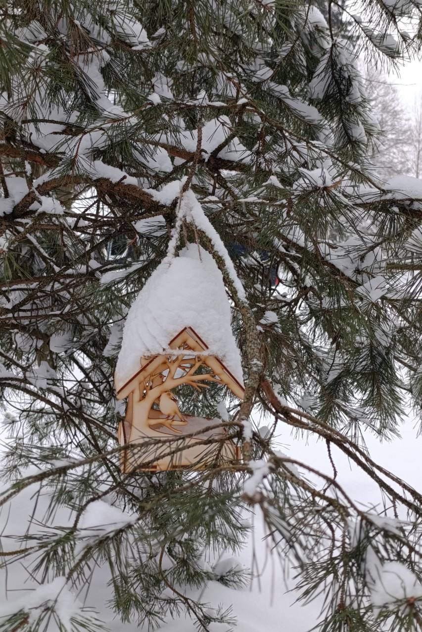 LOOKY_official в LOOKY. . ❄️Как вам январские ...