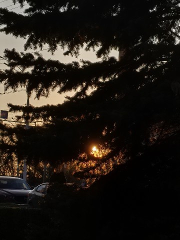 Александра Сергеевна in LOOKY. . Закат! 🌇