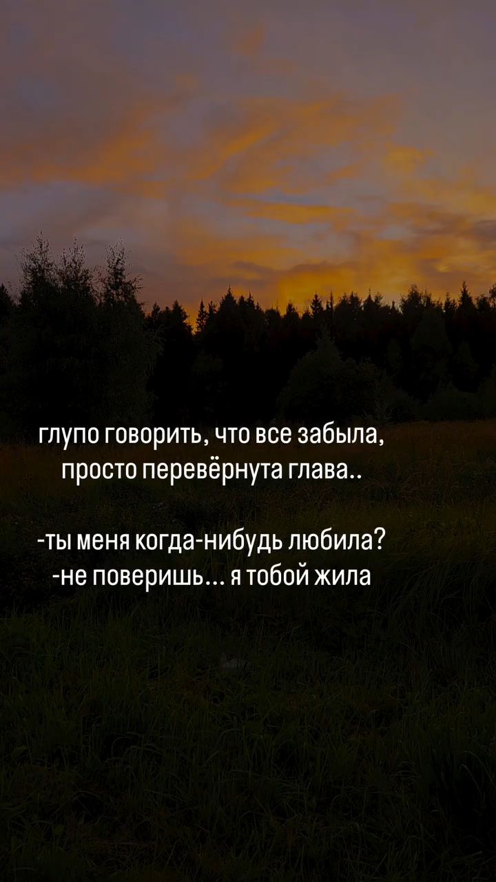akita_inu__shiba_inu в LOOKY — публикация