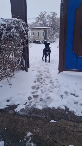katris_ka_ в LOOKY. . В этом году зима как...