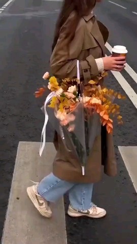 ВОЛК СЕРЫЙ в LOOKY — публикация