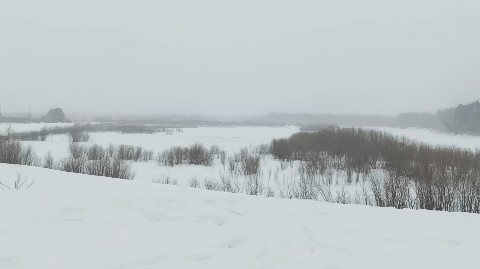 Татьяна в LOOKY. . Река Конда ещё в сне...