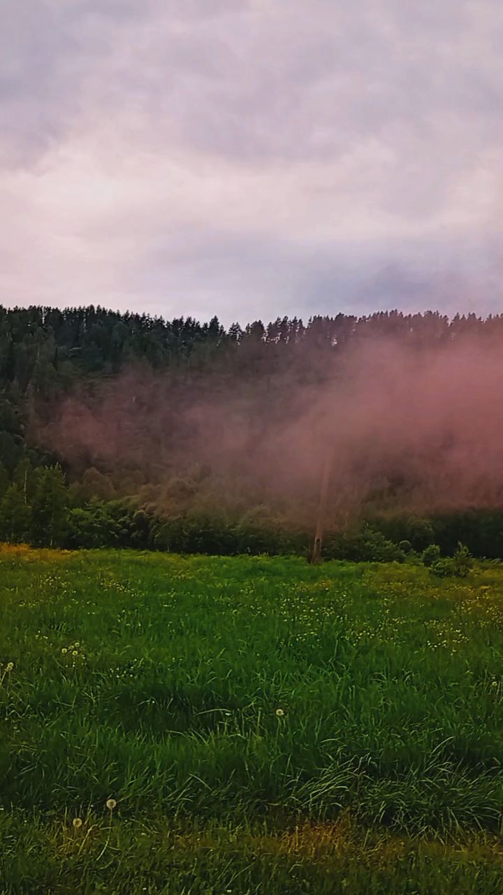 Ольга Юминова в LOOKY. . [#уголкироссии ](уго...