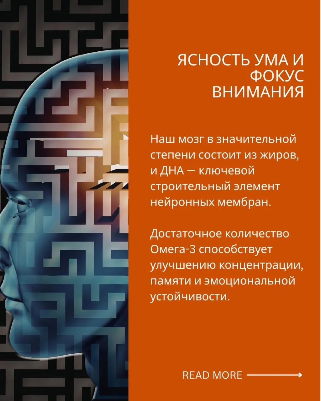 Светлана в LOOKY — фото 4
