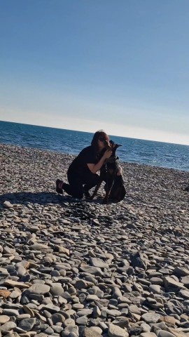 annet_anapa в LOOKY. #анапа,#югроссии,#доберманщенок,#уменяестьты. В этих кадрах больше...