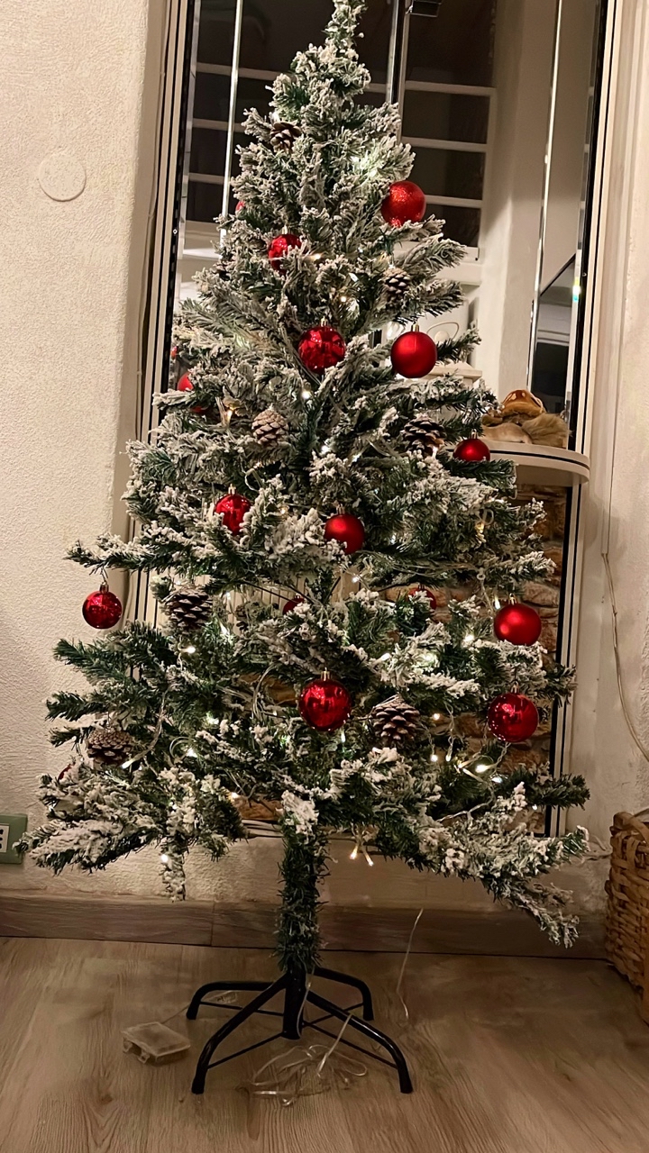 Merry Christmas🎄🌲❤️💫