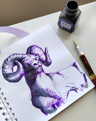 moremiron_art в LOOKY. #illustration,#graphic,#portrait,#animalistic,#animalart,#графика,#портрет,#иллюстрация,#анималистика,#анималистическийжанр,#бытьхудожникоманималистом. Иногда достаточно пр...