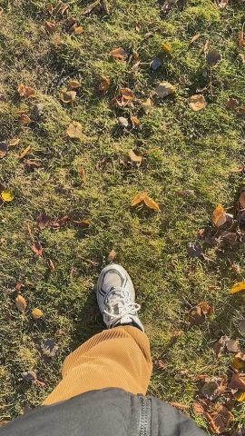 nki_zxc in LOOKY. . а вы знали что в г.С...