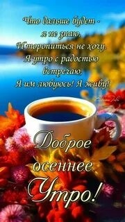 irina b. в LOOKY — Доброе утро среды!☕🥐Хорошего дня,радуйтесь новому дню !🫶✨�