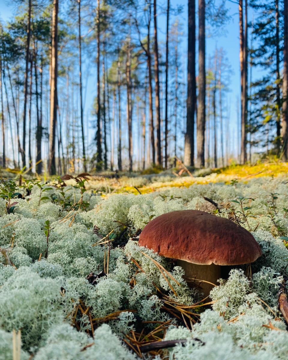 Красота родного края