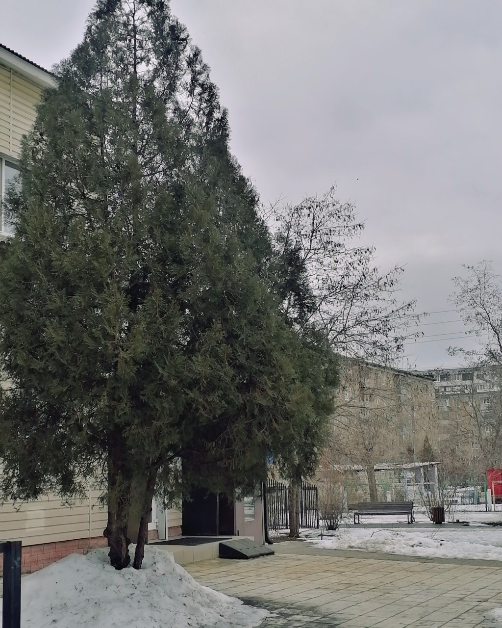 Татьяна Фадеева в LOOKY — фото 4