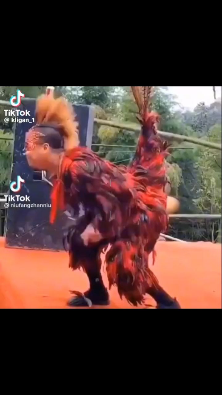 serega в LOOKY — публикация