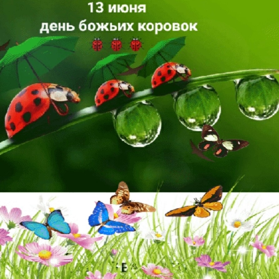 hobby_art в LOOKY — публикация