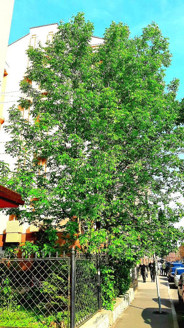 Looky_1680377940891 в LOOKY — фото 4