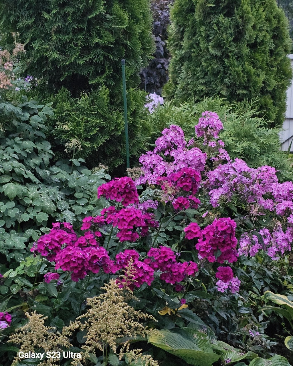 Ирина Самасвоя in LOOKY. . 