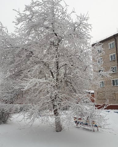 Татьяна в LOOKY. . 