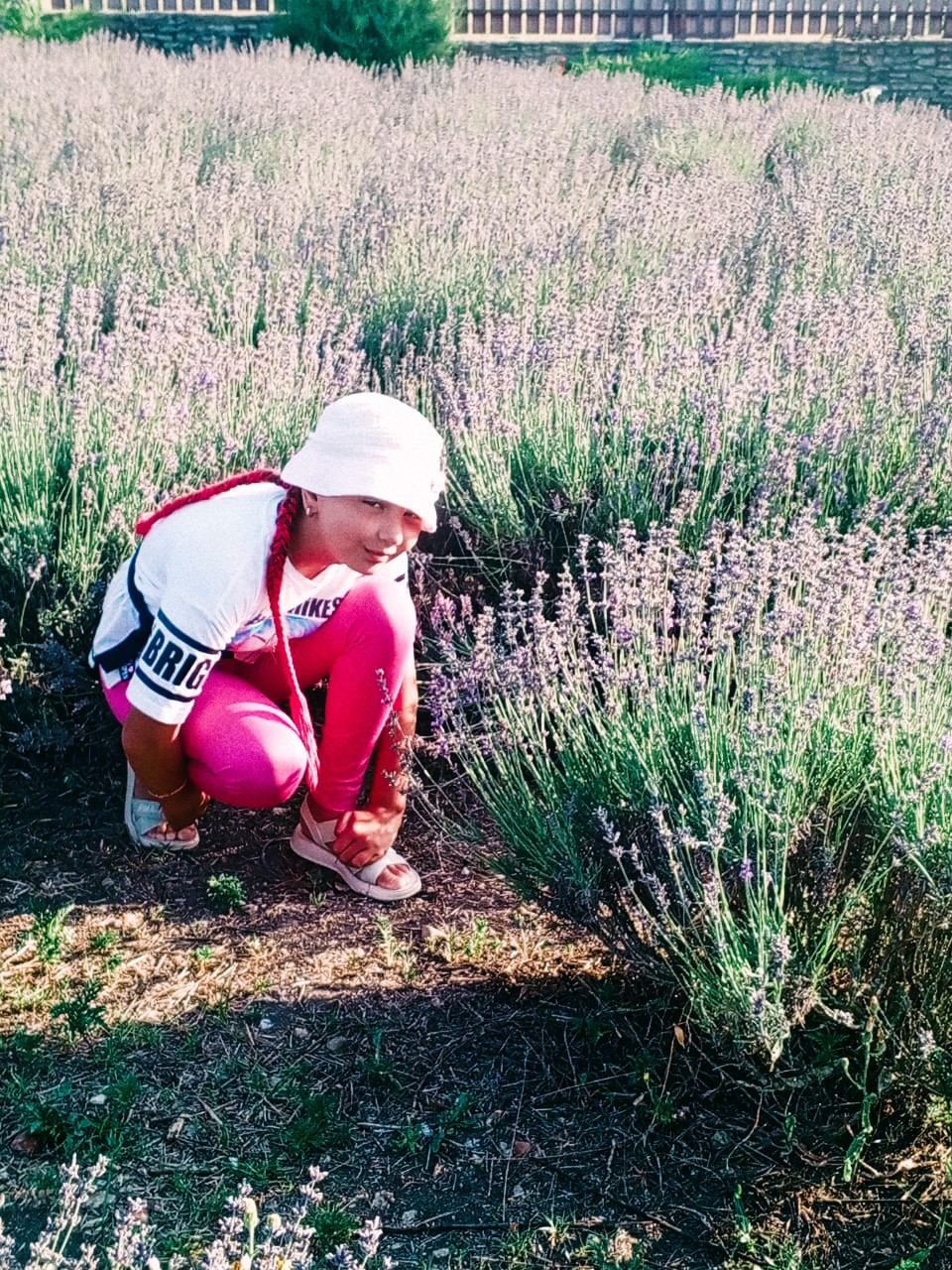 tatianapetrova5822 в LOOKY — Лавандовое поле 🌾